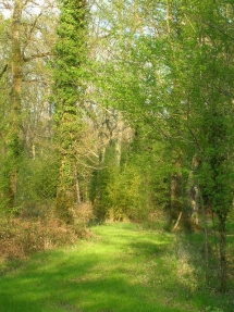 Le Ruisseau Chaud Forêt de la Double