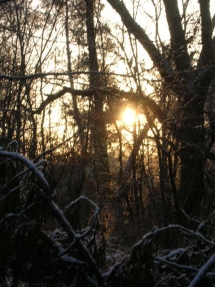 Le Ruisseau Chaud Forêt de la Double