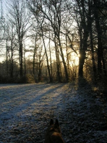 Le Ruisseau Chaud Forêt de la Double