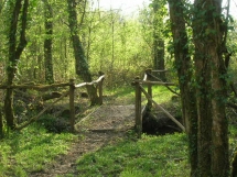 Le Ruisseau Chaud Forêt de la Double