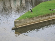 le Ruisseau Chaud Brantôme