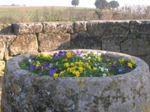 Le Ruisseau Chaud, Saint Emilion