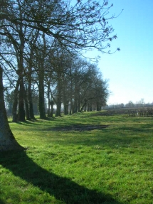 Le Ruisseau Chaud Les vignes à St Sulpice de Faleyrens