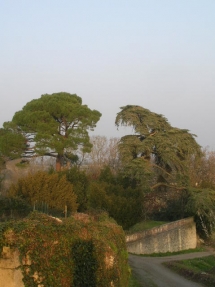 le Ruisseau Chaud, le Tertre de Fronsac