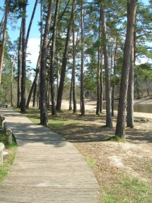 le Ruisseau Chaud le Grand étang de la Jemaye